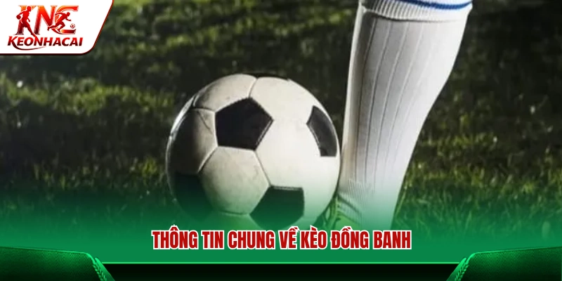 Tìm hiểu cơ bản về kèo đồng banh
